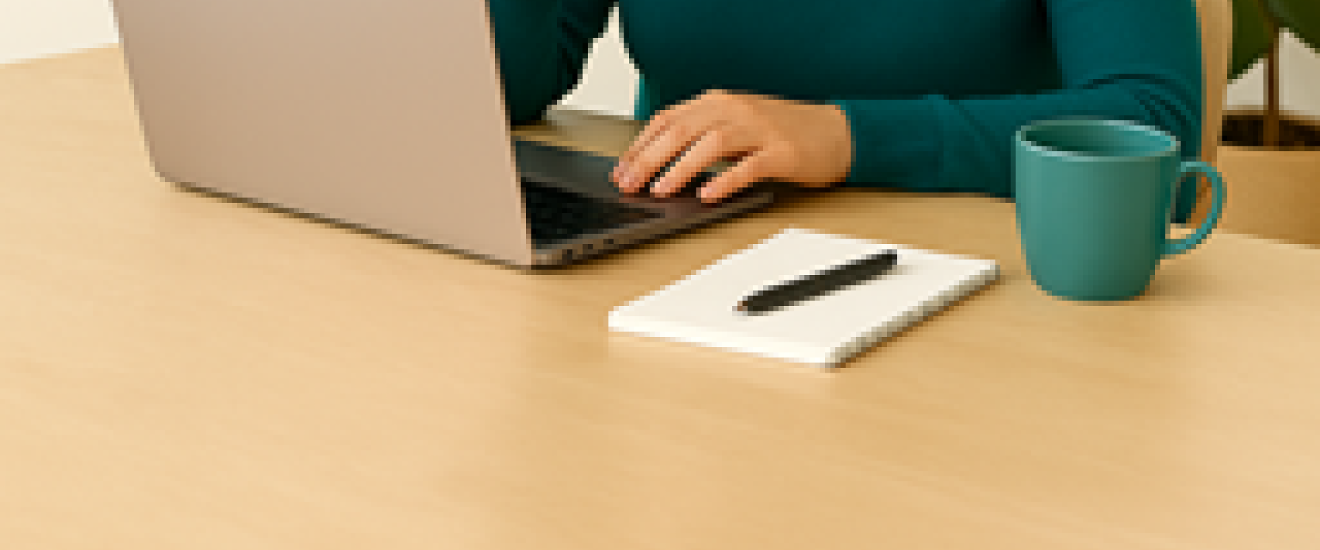 online leerprogramma